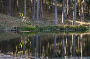 lake in autumn park, autumn landscape, reflection of trees in the water, calm autumn morning.