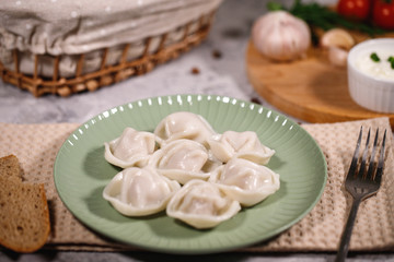 Ravioli on a plate with vegetables and sauce. Boiled dumplings on a dish. Tasty dinner. Food.