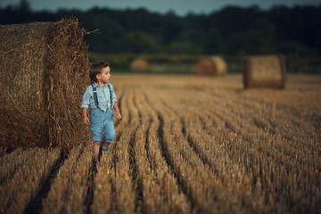Naklejka na ściany i meble Cute little boy walking among the sheafs - countryside shot