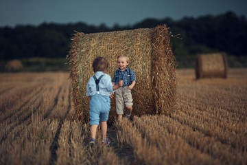 Portrait of cheerful brothers playing on a corn field