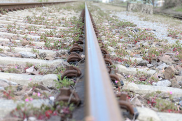 Low angle view on the single track on a railway