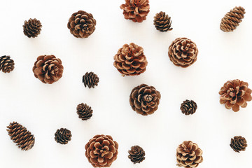 松ぼっくりの背景Winter or autumn composition with pine cones. Flat lay,top view,copy space