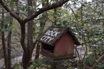Fototapeta na wymiar A wooden bird house with white inscription 