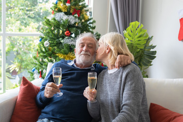 senior elderly caucasian old man and woman holding glass of champagne celebrate together in living room that decorated with christmas tree for christmas festival day, retirement lifestyle concept