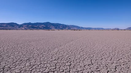 Fotobehang Panoramic view at Alvord desert with Steens mountains in the background. View of cracked Alvord Lake playa. © Dmitry