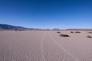 Fototapeta na wymiar Car trails on a playa of Alvord Desert, South Ogeron. Steens mountains in the background