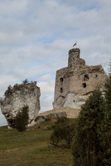 The ruins of a medieval European castle against the backdrop of a rocky ridge, blue sky, coniferous forest and green meadows.