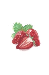 strawberry on white background, watercolor