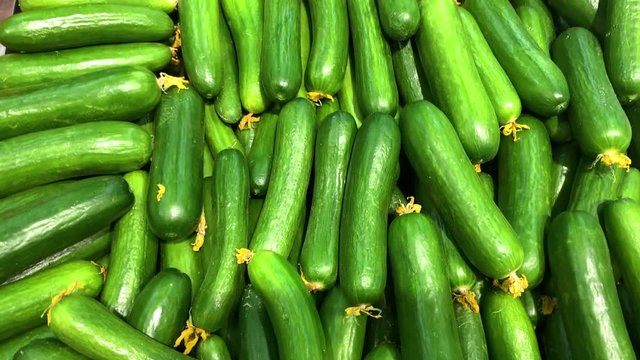 Cucumbers at the market place, vegetables on the shelves in the supermarket. 
