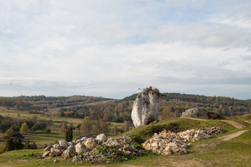 Fototapeta na wymiar Landscape of limestone cliffs of the Krakow-Czestochowa Upland. Cliffs in Mirow in sunny weather.