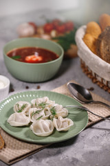 Delicious hearty dinner, dumplings and borscht served with sauce. Food. Close-up.