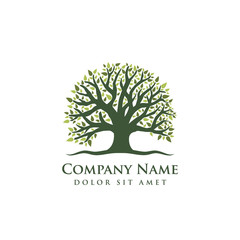 Obraz premium Root of the tree logo design illustration. Abstract vibrant tree logo design. oak tree vector illustration