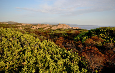 a glimpse of the splendid and wild coast that goes from Alghero to Bosa, in the northern Sardinia, on a sunny summer day
