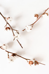 Composition with cotton branches on white table