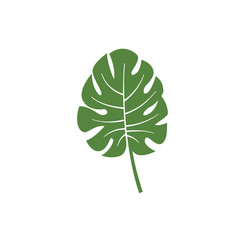 monstera leaf vector element icon. monstera leaves vector decoration
