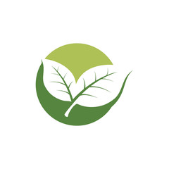 nature green leaf element vector icon. green leaves vector symbol