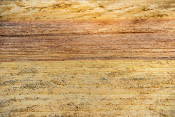 Wood grain and bark background, top view