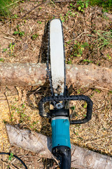 Chainsaw to cut logs lying in the forest. Chainsaw bar and cutting chain.