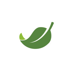 nature green leaf element vector icon. green leaves vector symbol