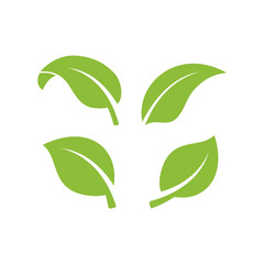nature green leaf element vector icon. green leaves vector symbol