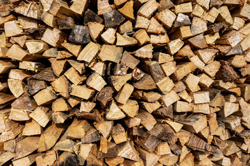 Wood grain and bark background, top view