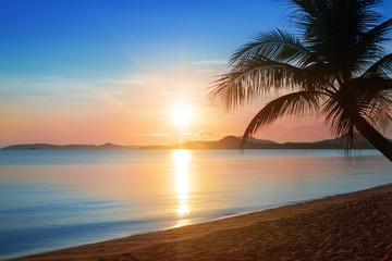 Beautiful sunrise on tropical paradise island beach landscape, scenic sunset on sea coast golden sun, blue sky, pink clouds background, sunlight reflection on water, palm tree silhouette romantic view