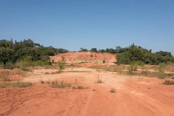 Desertified dirt road and green plant view space