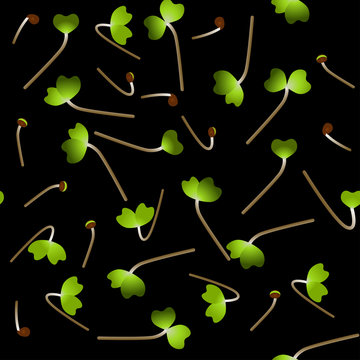 Microgreens Mustard. Sprouting seeds of a plant. Seamless pattern. Vitamin supplement, vegan food.