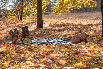 picnic bed in the fall