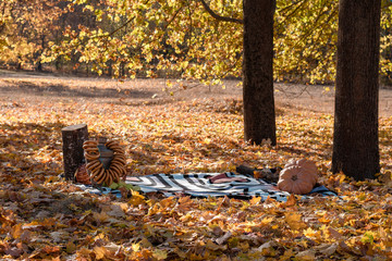 picnic bed in the fall