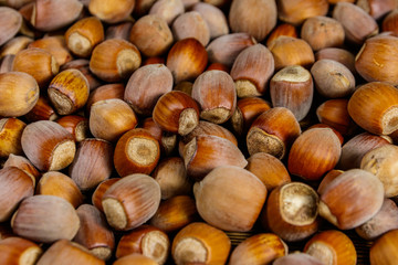 Food background of the whole hazelnuts