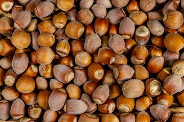 Food background of the whole hazelnuts