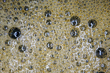 beer beautiful foam macro background