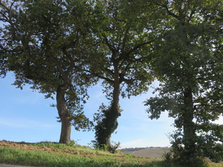 Obraz premium Paesaggio naturale