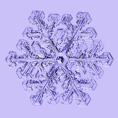 real snowflake