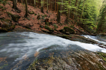 Jeleni Falls in super green forest surroundings, Czech Republic