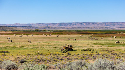 Fototapeta na wymiar Rolled bales of hay on a field with yellow and green grass, south Oregon