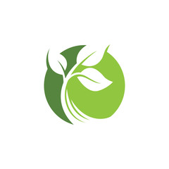 nature green leaf element vector icon. green leaves vector symbol