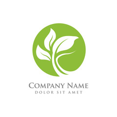 nature green leaf element vector icon. green leaves vector symbol