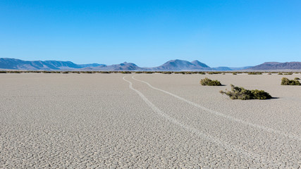 Car trails on a playa of Alvord Desert, South Ogeron. Steens mountains in the background