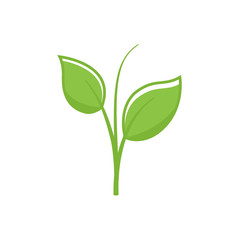 Fototapeta na wymiar nature green leaf element vector icon. green leaves vector symbol