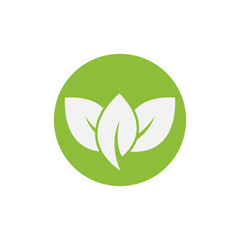 nature green leaf element vector icon. green leaves vector symbol