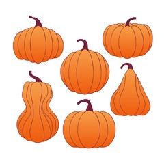 set of hand drawn pumpkin vector illustration