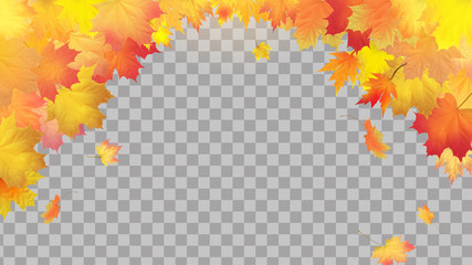 Falling autumn maple leaves on transparent background