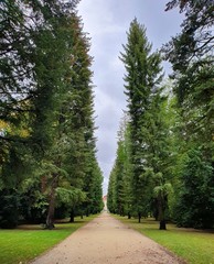 Walkway path in the park