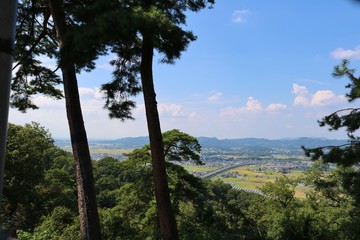 空　秋　風景　道路　街並み　杤木