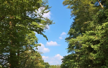 空　雲　木　杤木