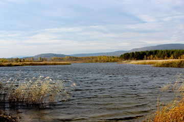 The picturesque bank of a river or lake covered with reeds. Cloudy day in the fall. Ripples from the wind on shiny water. In the blue sky clouds. The atmosphere of relaxation, wind, loneliness.