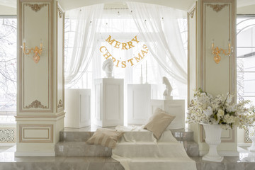 Christmas morning. Classic luxurious apartments . Living with fireplace, columns and stucco.
