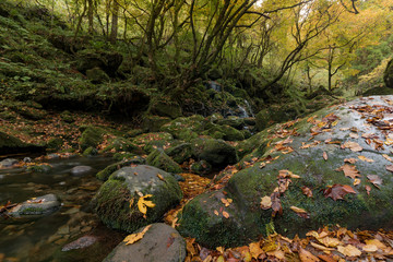 秋田県　元滝伏流水